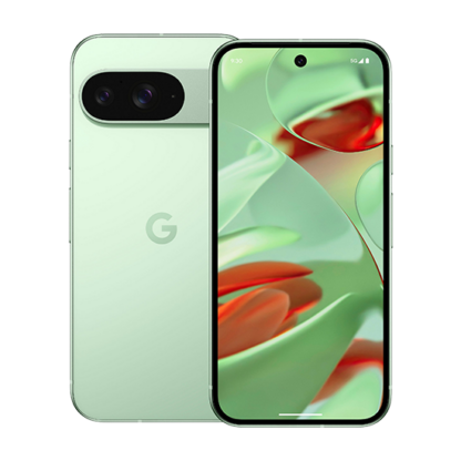 Google Pixel 9 5G
